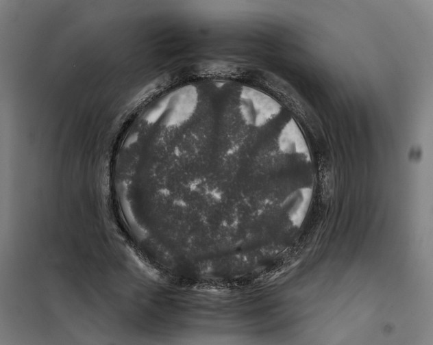 X0000101710729200808071222