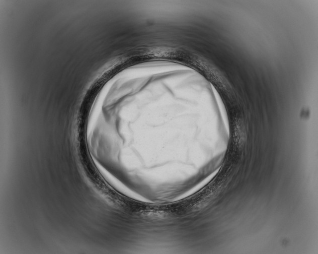 X0000101710730200808071222
