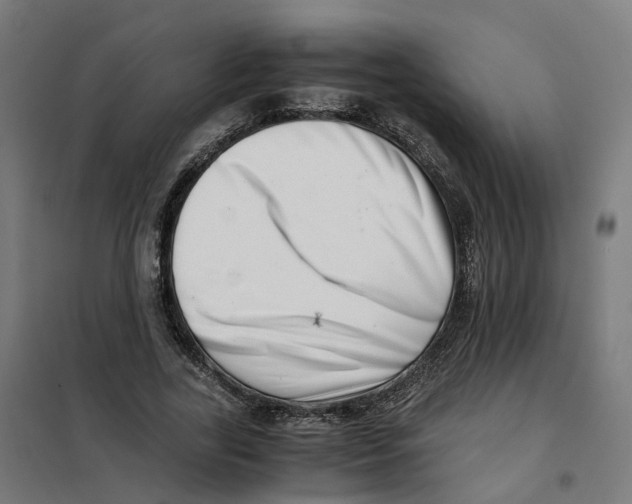 X0000101710731200808071222