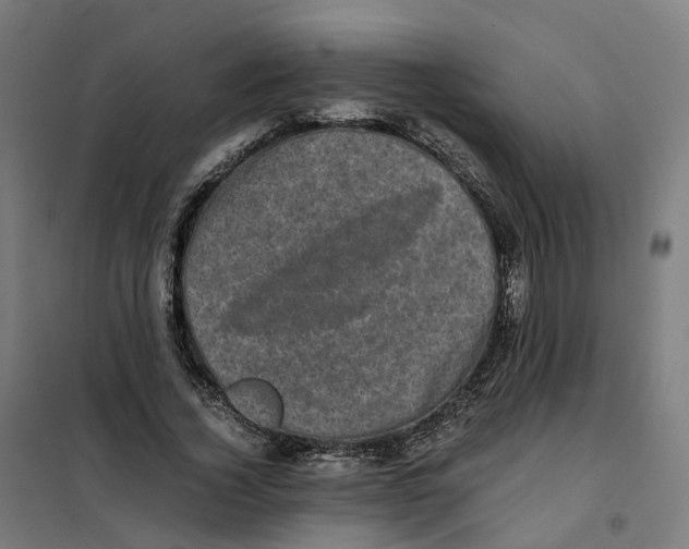 X0000101710732200808071222