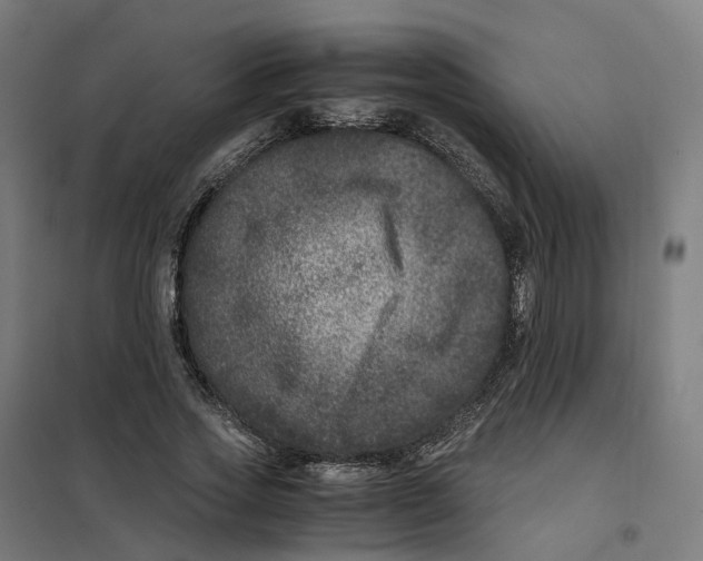 X0000101710733200808071222