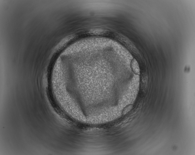 X0000101710734200808071222