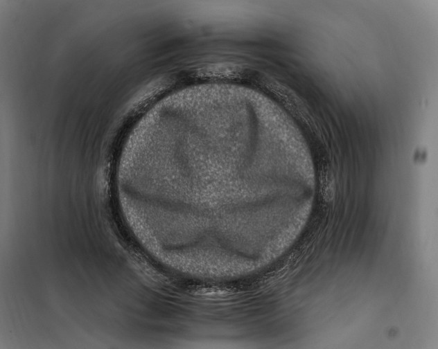 X0000101710735200808071222