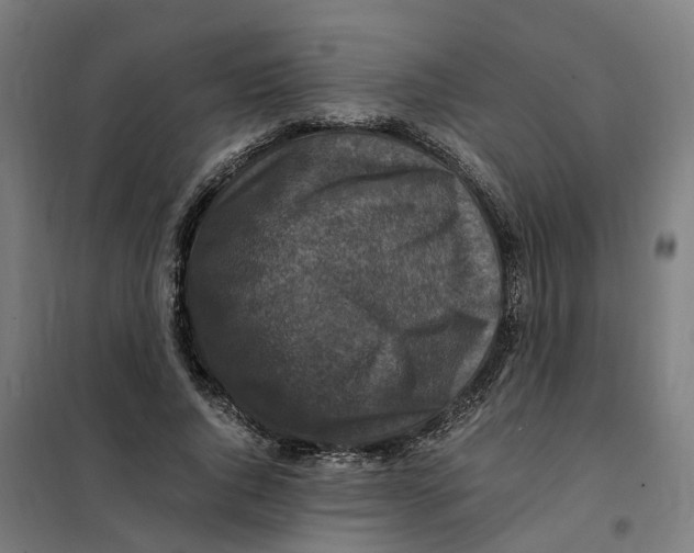X0000101710736200808071222