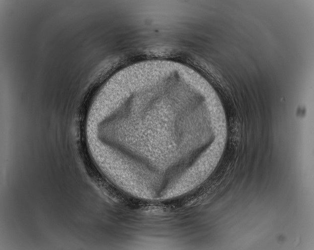 X0000101710738200808071222