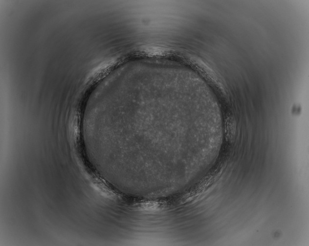 X0000101710740200808071222