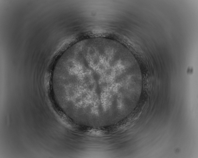 X0000101710742200808071222