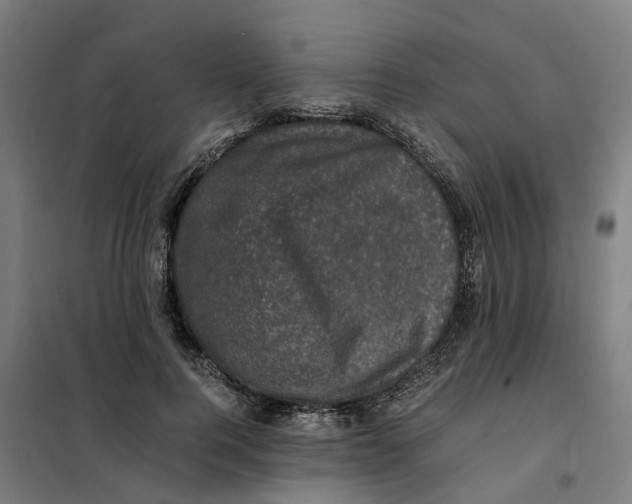 X0000101710744200808071222