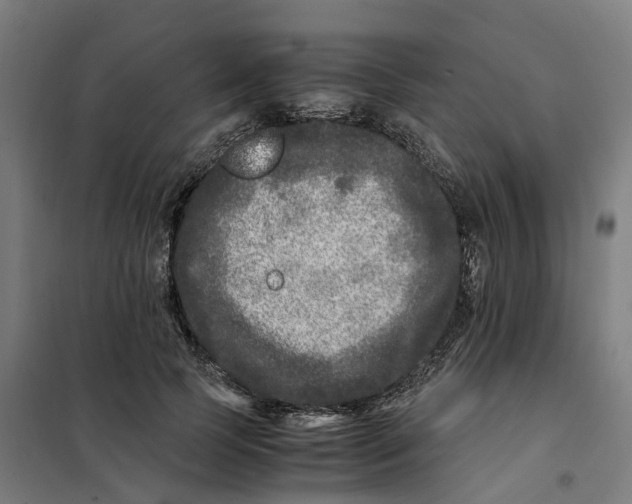 X0000101710745200808071222