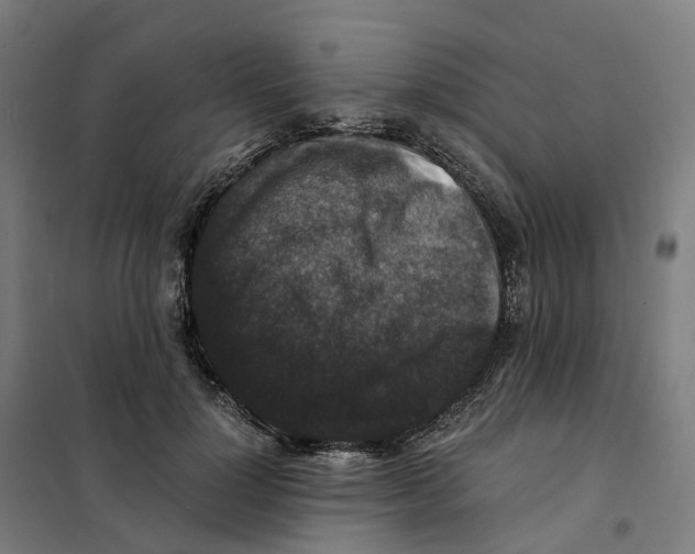 X0000101710748200808071223