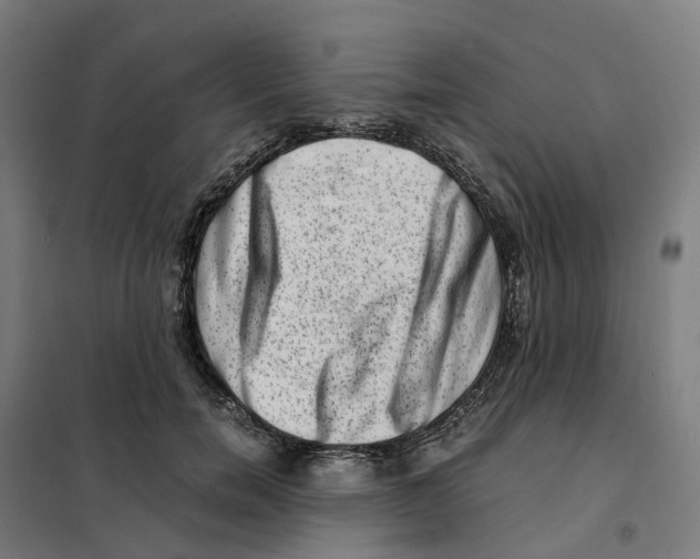 X0000101710750200808071223