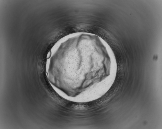 X0000101710751200808071223
