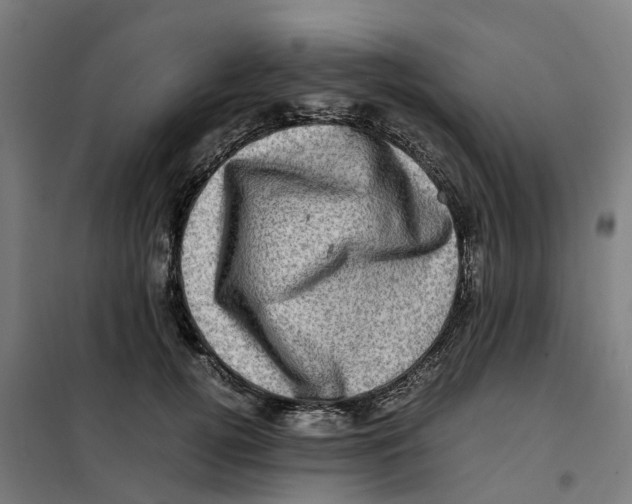 X0000101710752200808071223