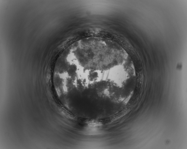 X0000101710754200808071223