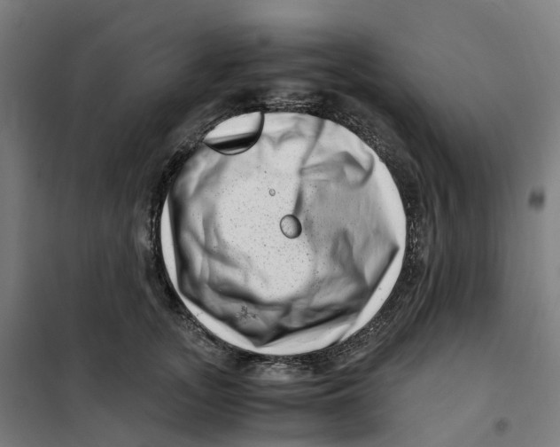 X0000101710755200808071223