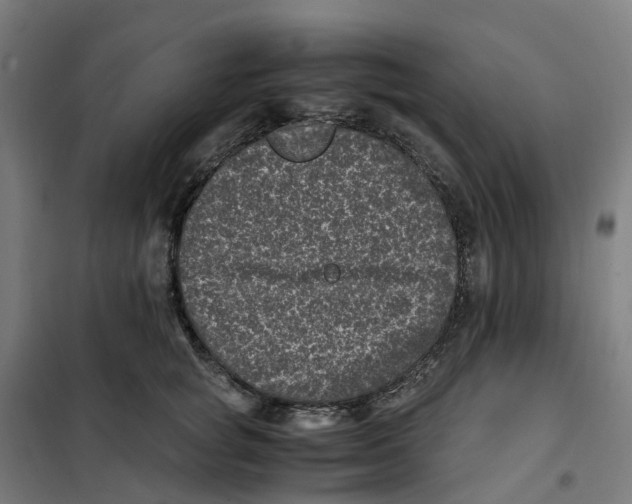 X0000101710757200808071223