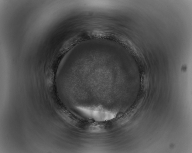 X0000101710760200808071223