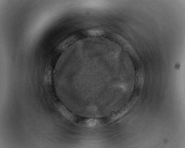 X0000101710762200808071223
