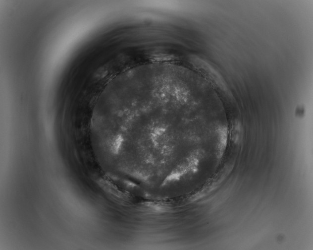X0000101710763200808071223