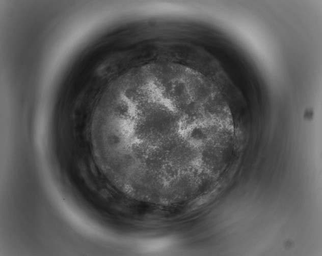 X0000101710765200808071223