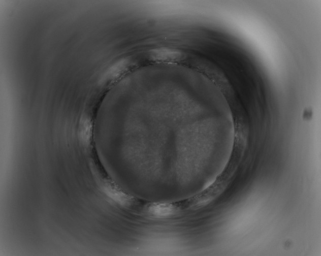 X0000101710767200808071223