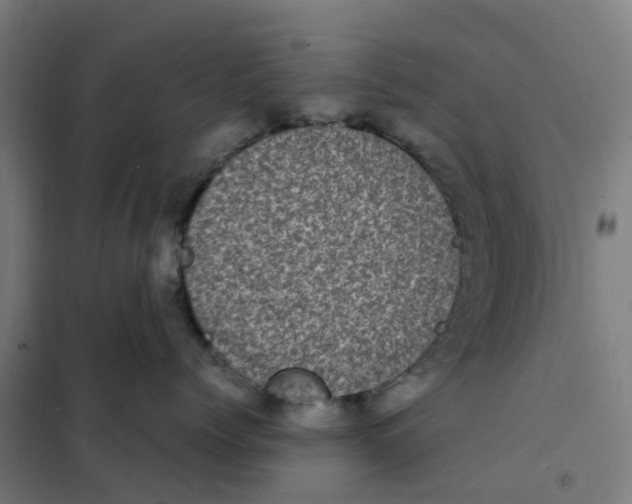 X0000101710768200808071223