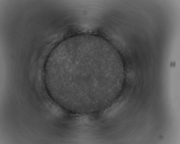X0000101710769200808071222
