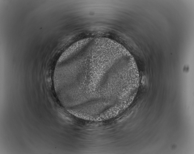 X0000101710771200808071222