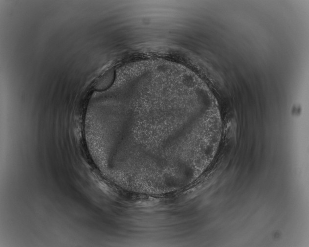 X0000101710772200808071222