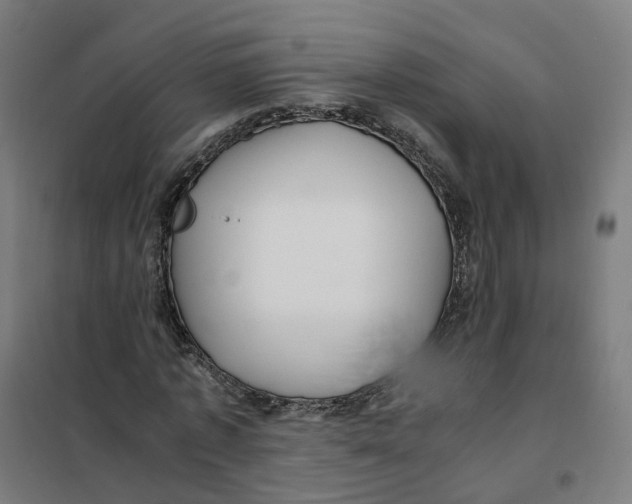 X0000101710773200808071222