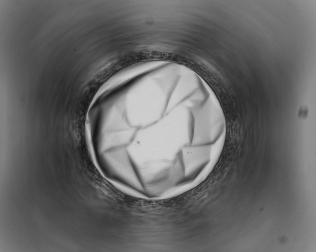 X0000101710774200808071222
