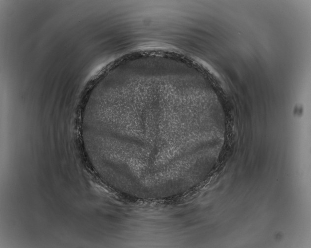 X0000101710775200808071222