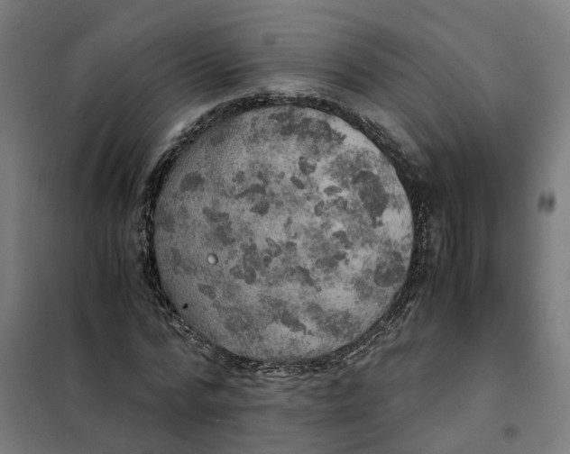 X0000101710776200808071222
