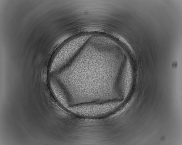 X0000101710777200808071222