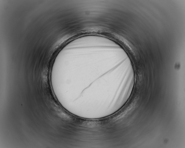 X0000101710778200808071222