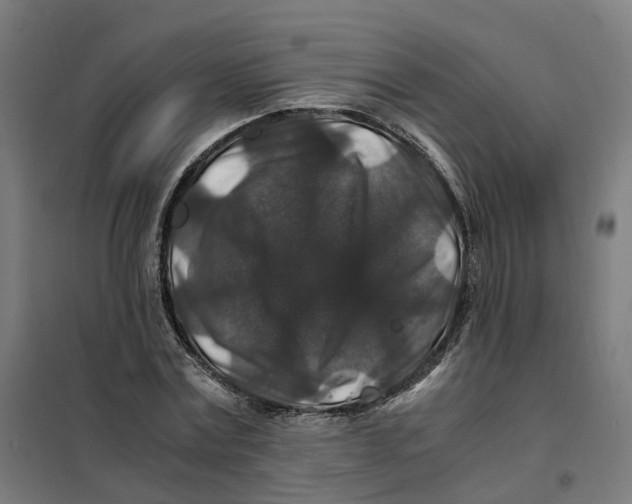 X0000101710779200808071222