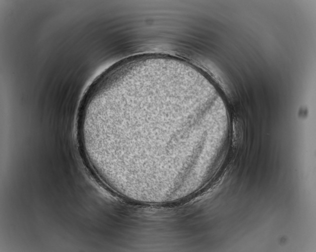 X0000101710780200808071222
