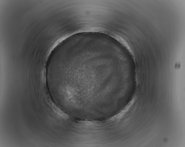 X0000101710781200808071222