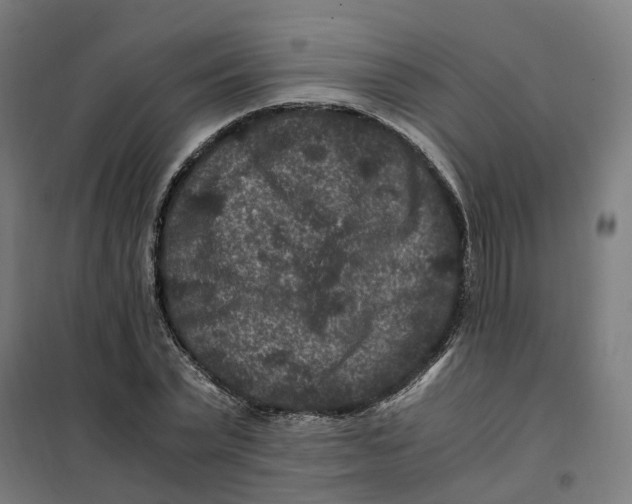 X0000101710783200808071222