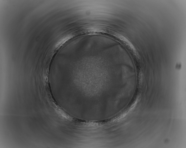X0000101710785200808071222