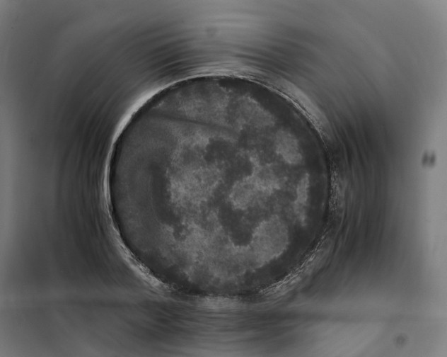 X0000101710788200808071222