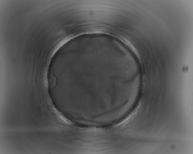 X0000101710789200808071222