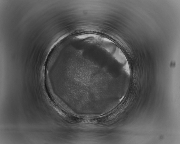 X0000101710790200808071222