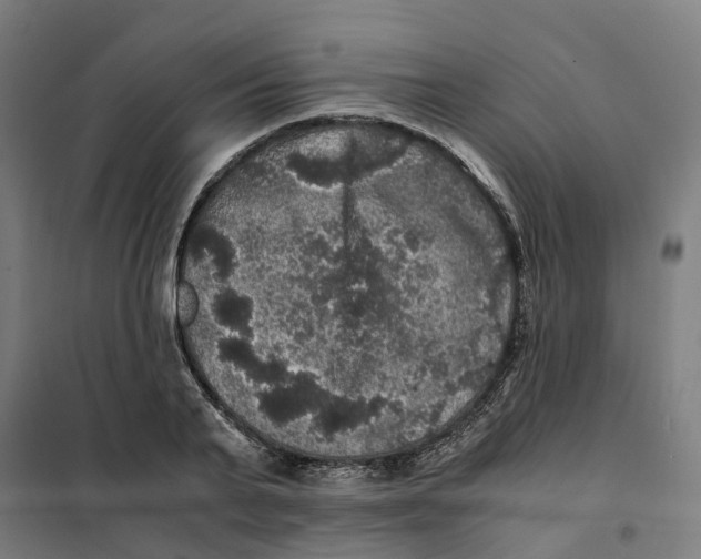 X0000101710791200808071222