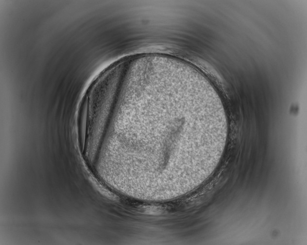 X0000101710792200808071222