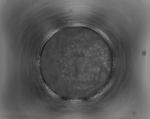 X0000101710793200808071222
