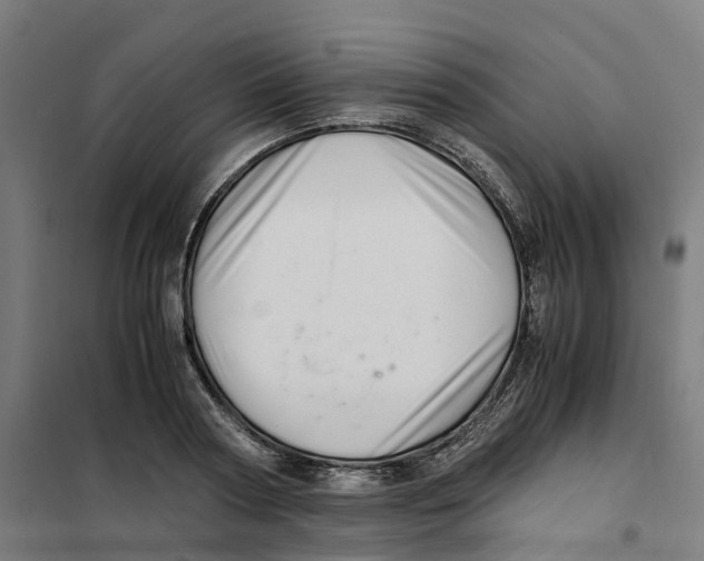 X0000101710794200808071222