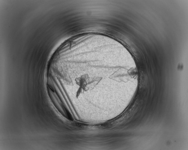 X0000101710796200808071222