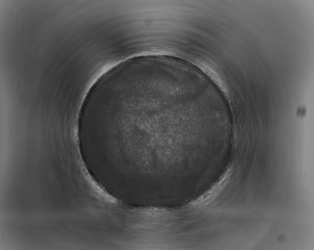 X0000101710797200808071222
