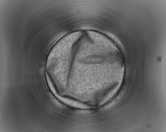 X0000101710801200808071222